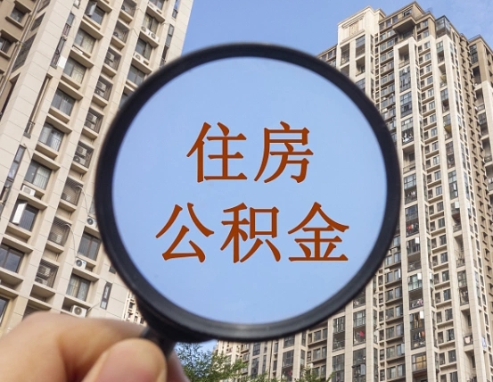 临清退休后查不到公积金明细了吗（退休后公积金查询不到原因）